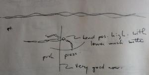 Frontcrawl ~Timing of Arms and Legs | swimcoachingblog