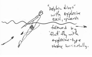 BUTTERFLY DRAWINGS 002 leaping fly drill