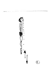 jumping off bottom spy hops etc